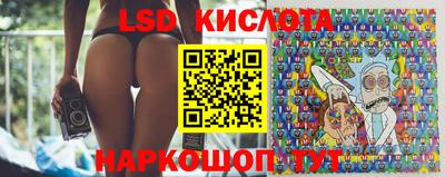 mdpv Гусев