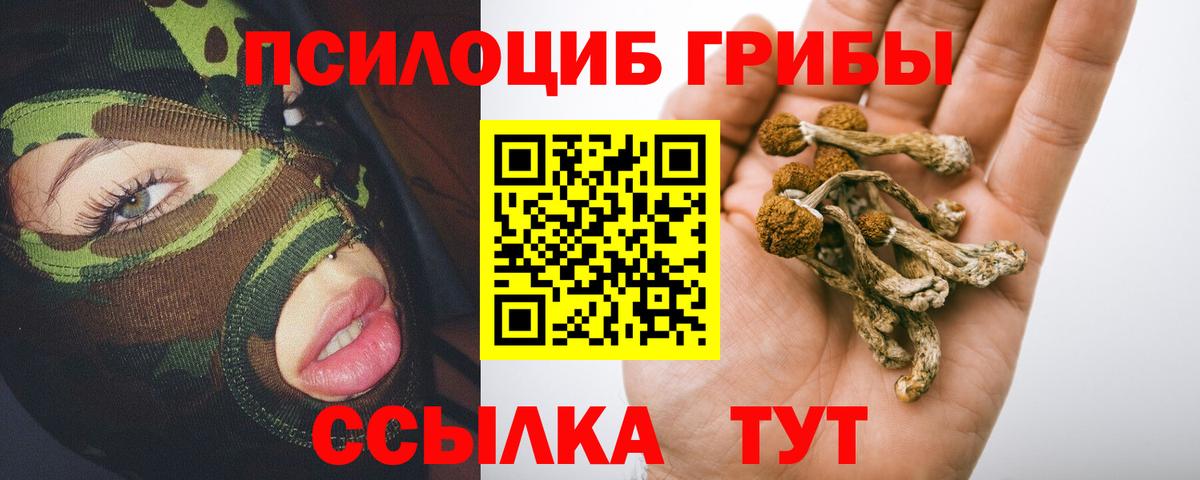 Галлюциногенные грибы Psilocybe  Галлюциногенные грибы мухоморы  Вход с VPN  Мценск 